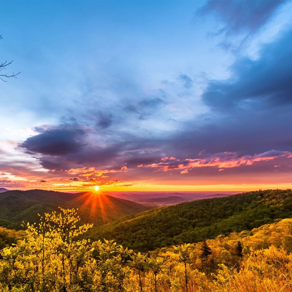 Virginia Wine Country at sunset